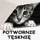 Kotulek!