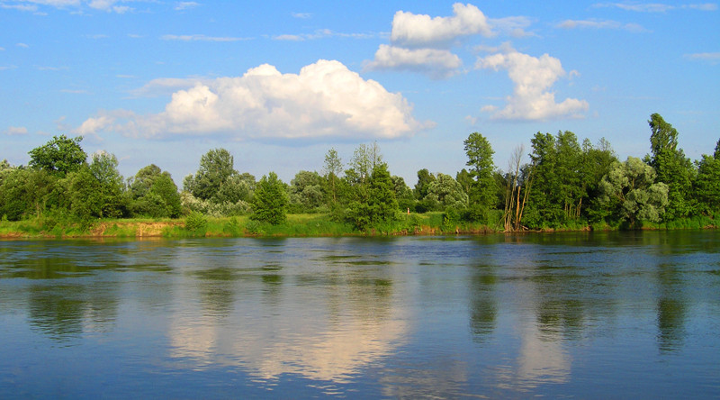 Urodziny...