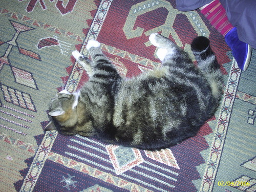 Cze to ja ... Arnold