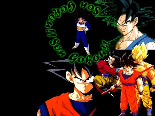 Last Adult Goku xD :p
