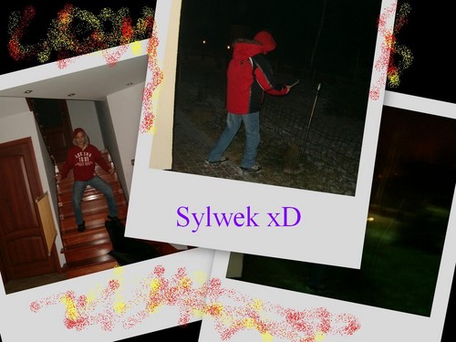 Sylwester xD