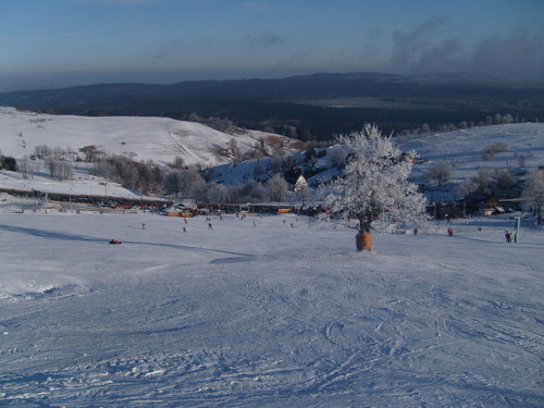 Zieleniec 2007/2008