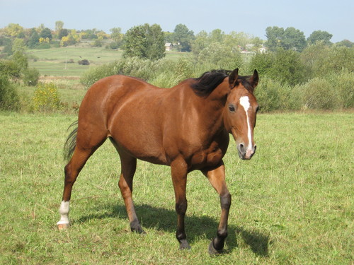 Toffi :)