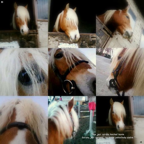 Borys =*