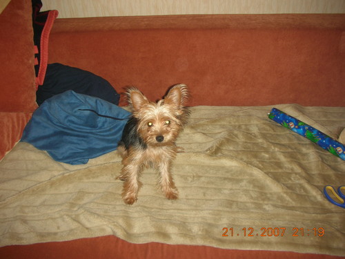 Verba » Tyle wspomnie o To