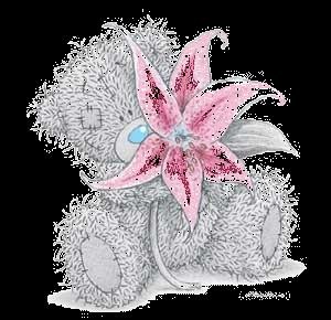 ^^^misiu^^^