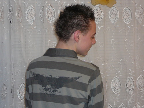 Bez sensu