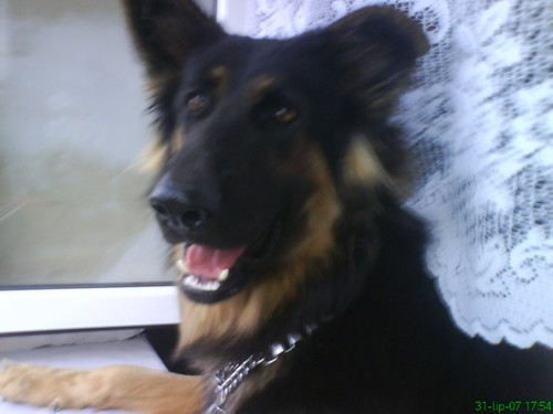 REX