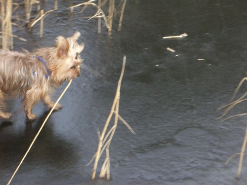 Tilo na lodzie:)