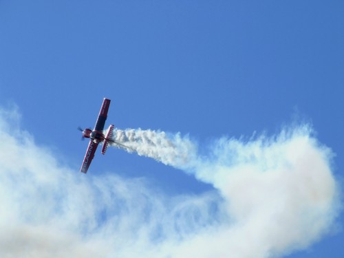 born to fly