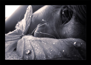 motyl