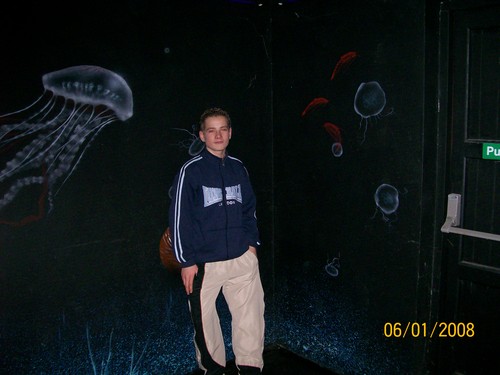 Dingle oceanarium