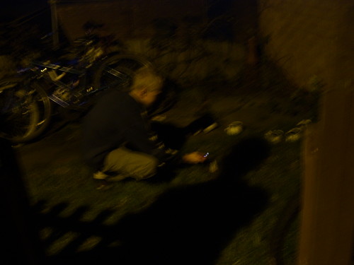w selwestra