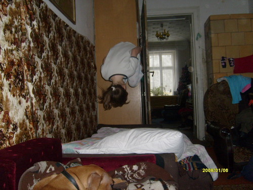 Salto:D
