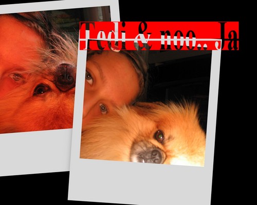 Ted & noo. i Ja xd.