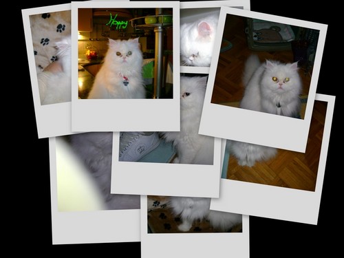Moje kochanie=)