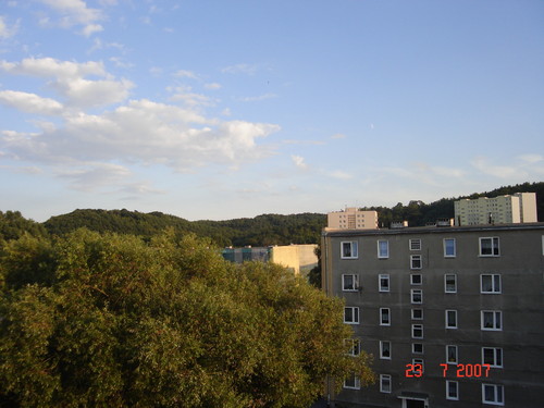 widok