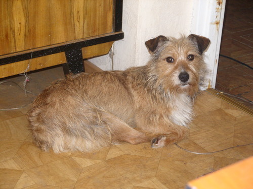 Alma