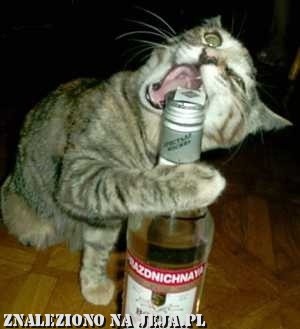 ,,bo to moja pasja..... 