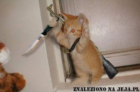 ,,bo to moja pasja..... 