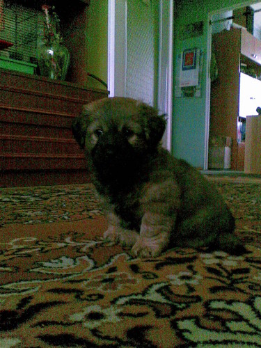 ~*~MaJlO~*~
