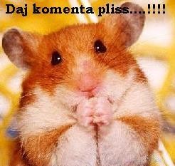 chomcio