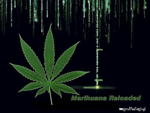 Ganja