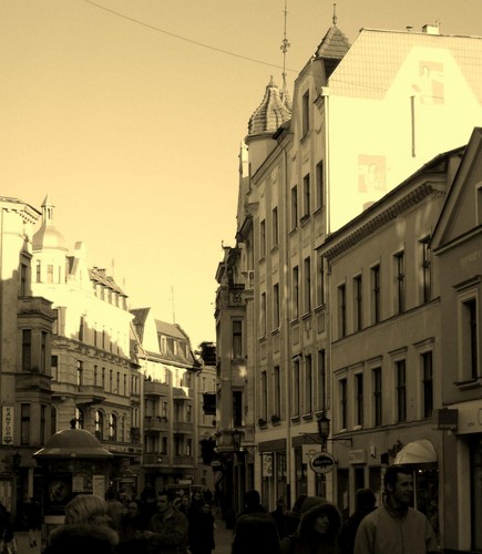 Toruska starwka.