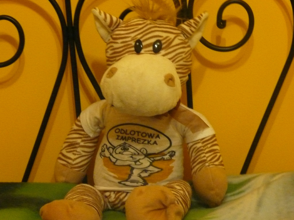 zebra