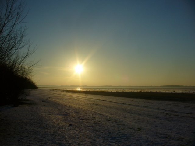 Zimowe