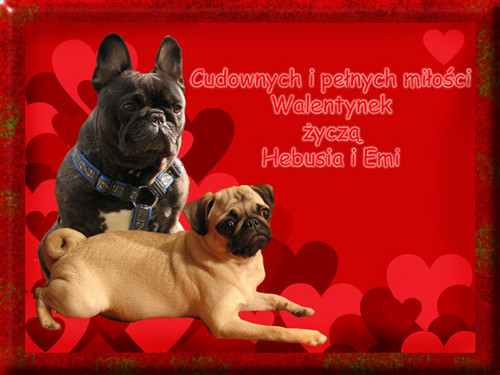 A ta fotka ju na walentynki!!!