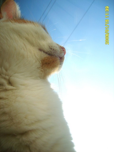 z ebkiem w chmurach :)