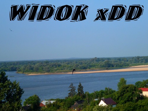 WIDOK