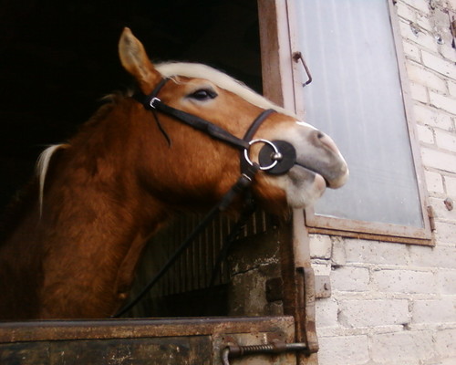 Borys ;)