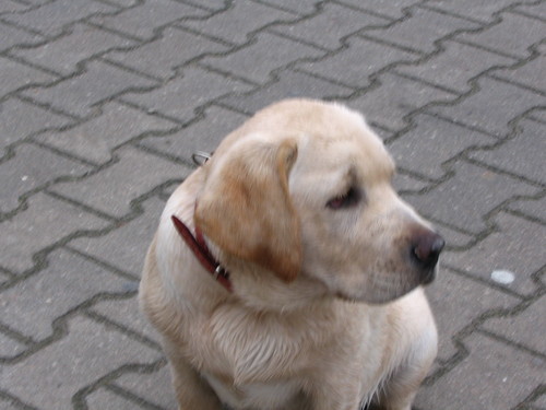 cudnie:)