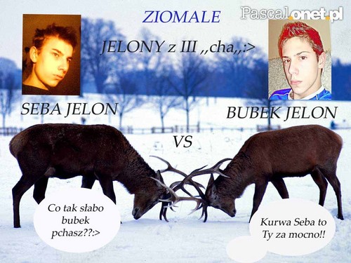 Nie MA Chuja we WSI!! JELONY!!