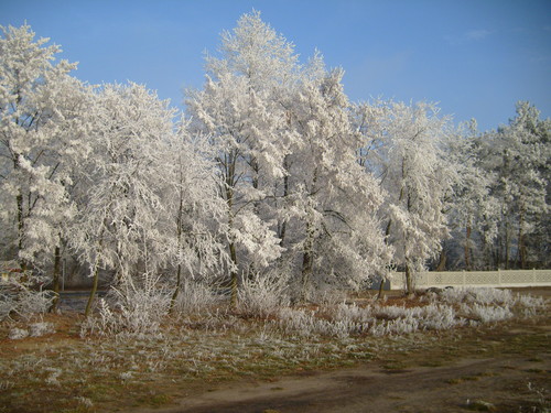 Nasze Rostarzewo:)