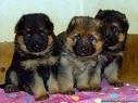 SwEeT!!!