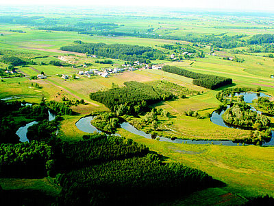 Rzeka Osa