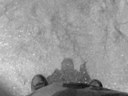 nigdy nie bdz swym cieniem.....