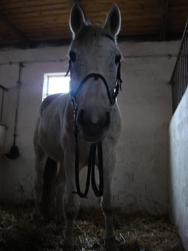 Pikno nad piknociami! ;*