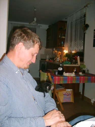 Duma