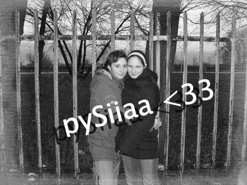 z pySiiaa