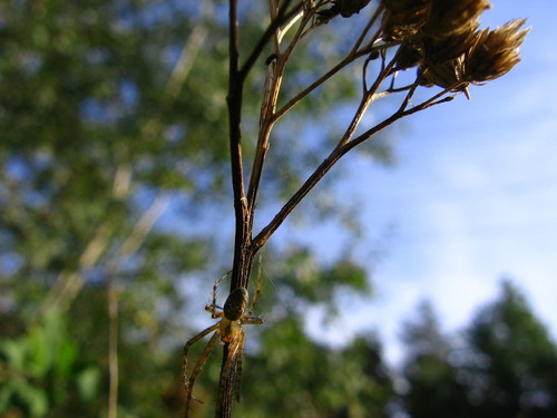 Wspomnienia cz.9