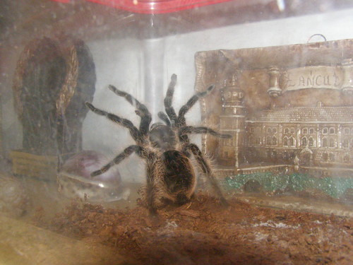 8)