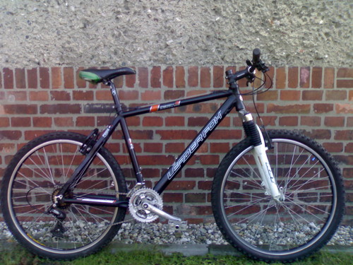 New Bike 13 