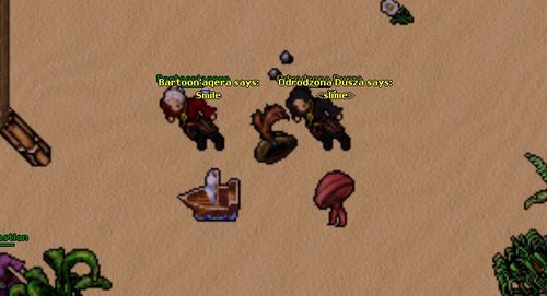 Pirate Outfit Quest