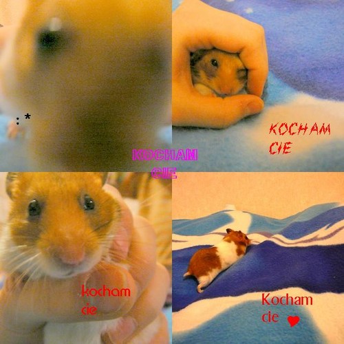 czasami takie mae.
