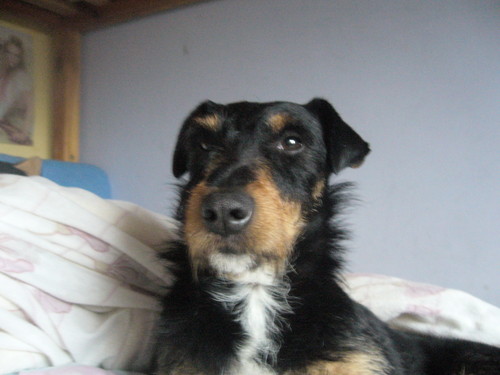 Wypoczynek...*_*