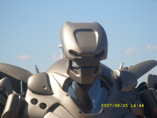 ROBOT W ANGLI